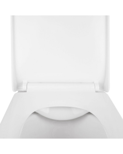Унитаз подвесной Qtap Tern безободковый с сиденьем Soft-close QT1733052ERW