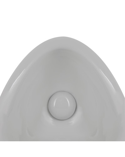 Писсуар подвесной Qtap Crow с краном-дозатором 390х330х660 White QT0588112HW